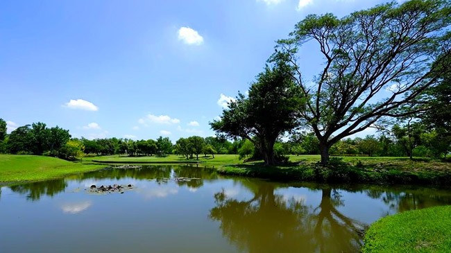 Luisita Slide 02